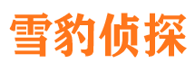 温州小三调查